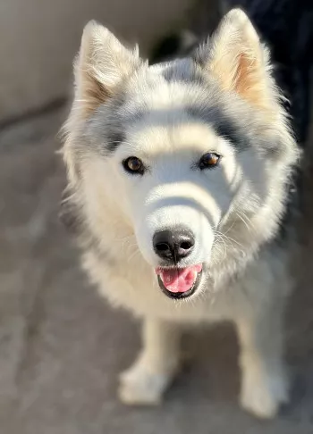 Ruby