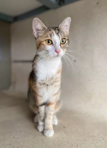 Hermione