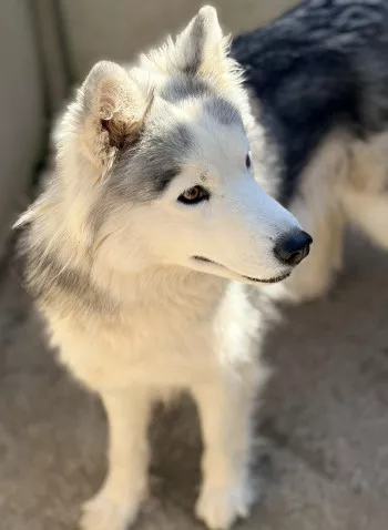 Ruby