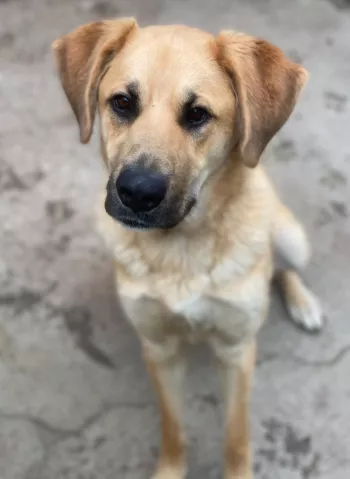 Riley