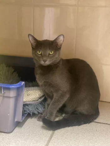 Marco